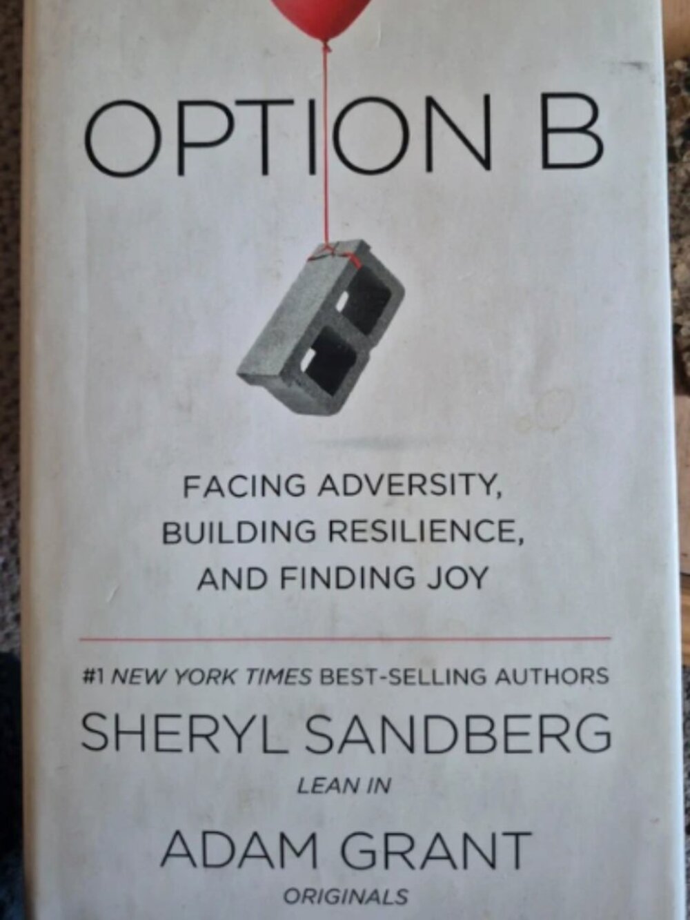 Book option B facing adversity building resilience